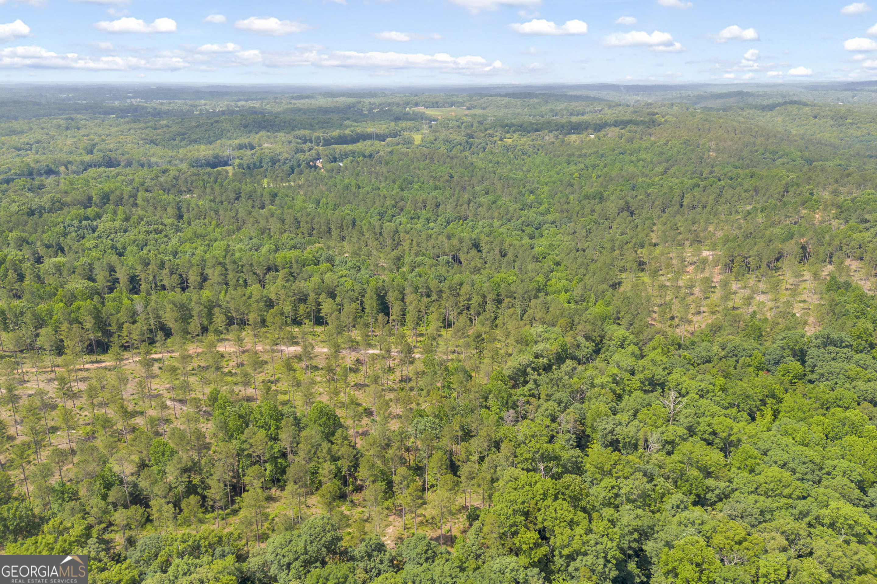 0 Mt Sinai Road, Unit LOT 1 Lula, GA 30554 - Photo 10 of 67