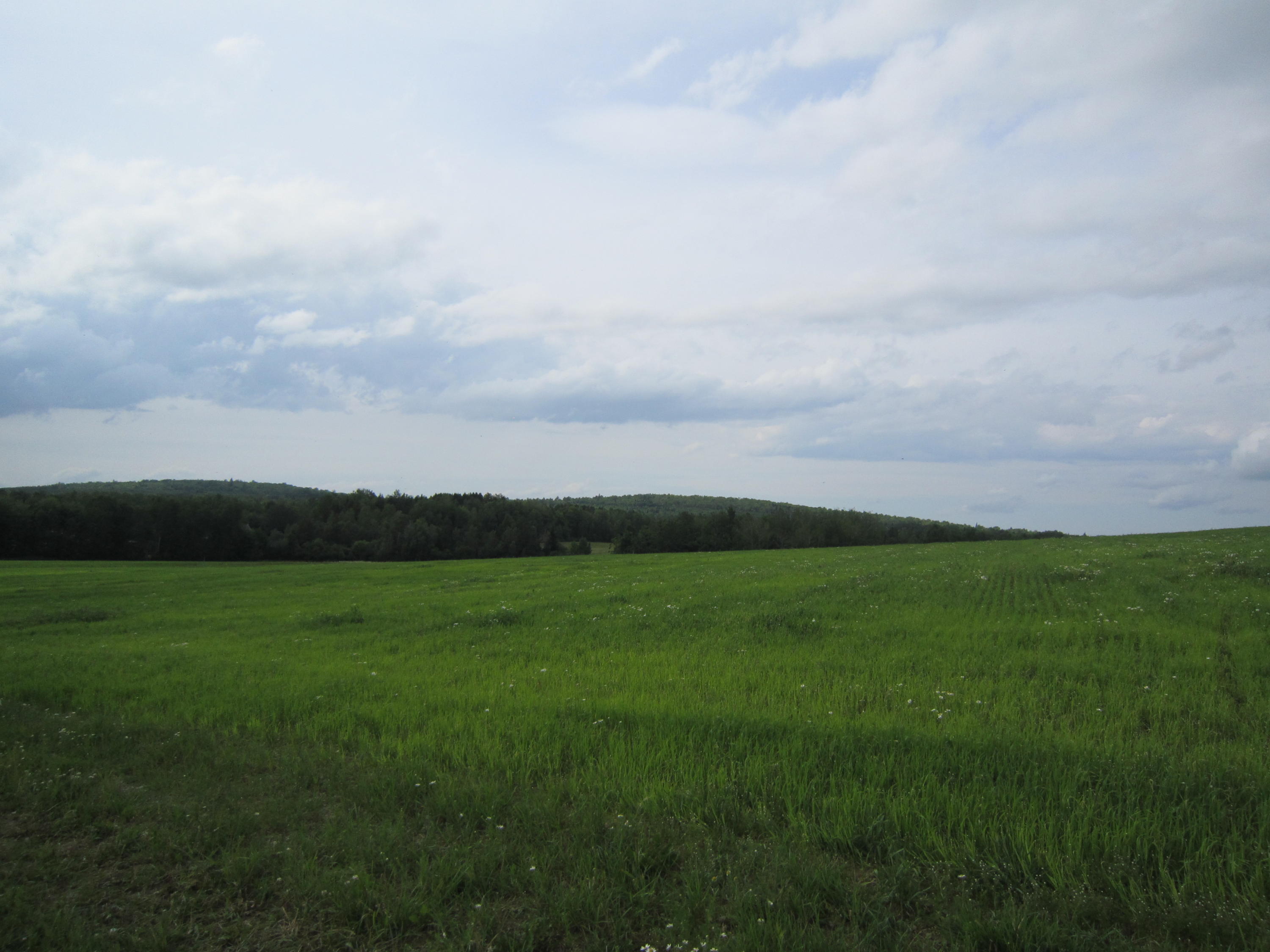 -- State Road Mapleton, ME 04757 - Photo 3 of 8 IMG_1263