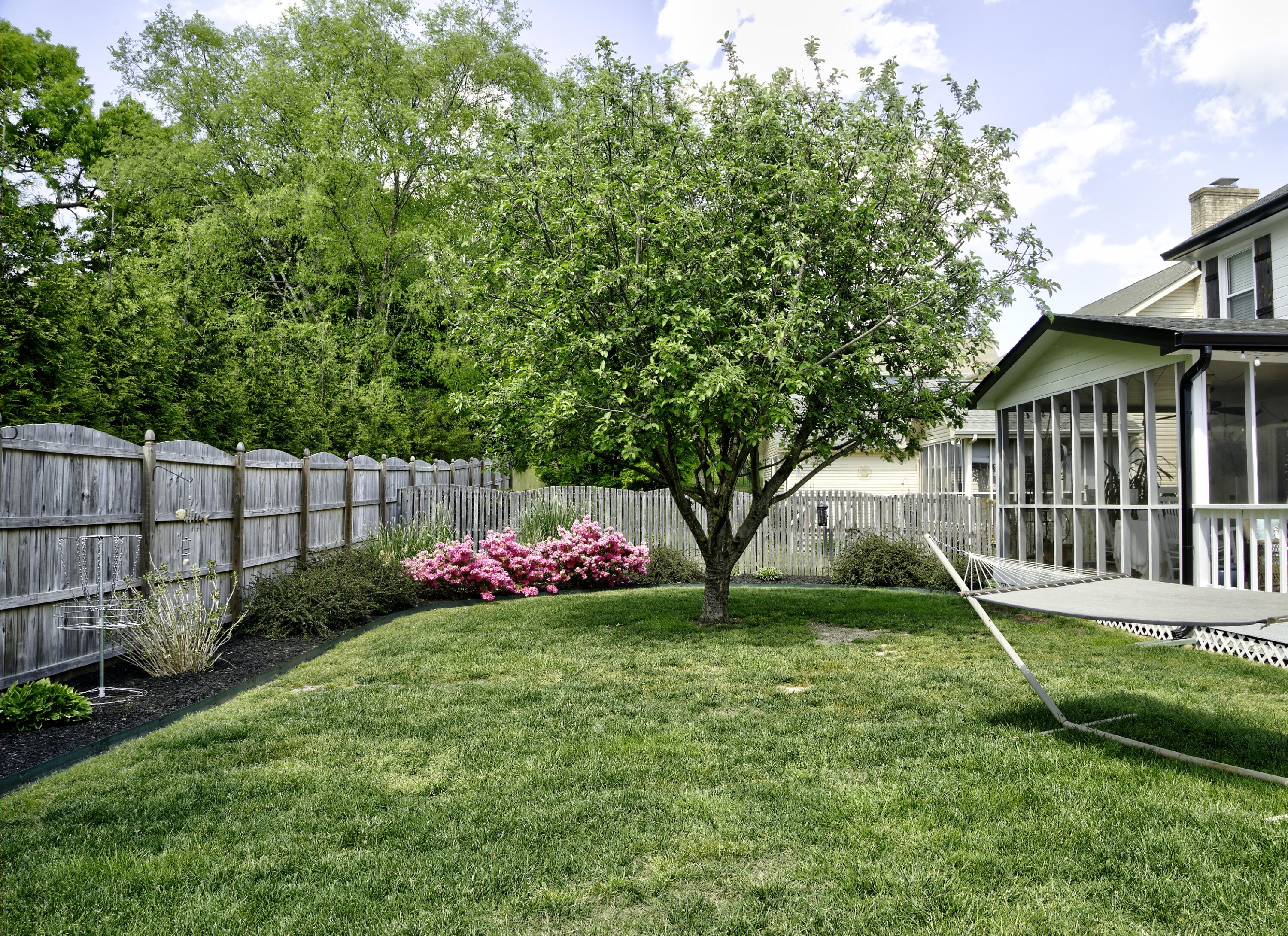325 Shadow Ridge Drive Chattanooga, TN 37421 - Photo 35 of 43 Back yard