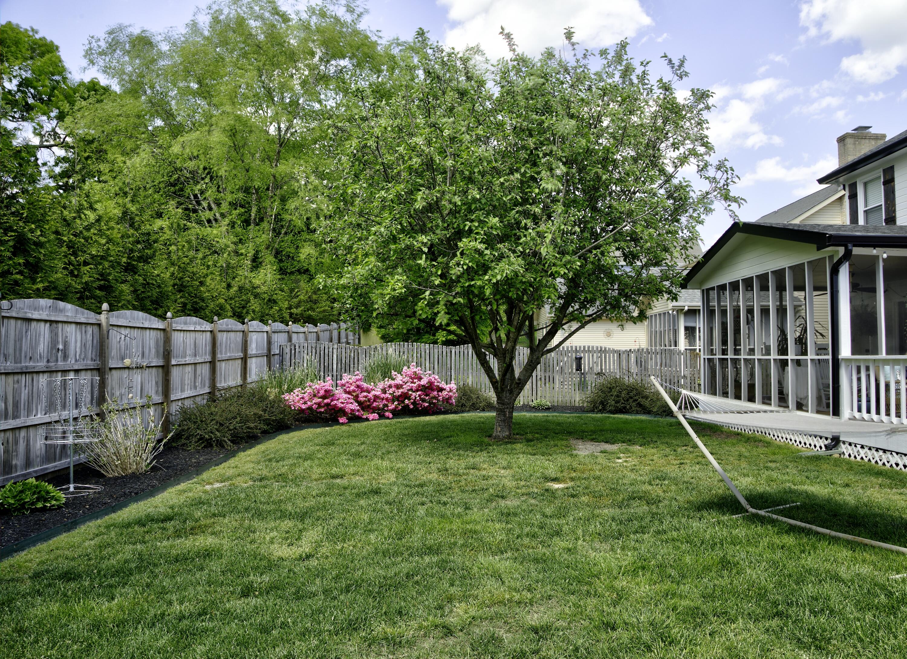 325 Shadow Ridge Drive Chattanooga, TN 37421 - Photo 38 of 43 Back yard