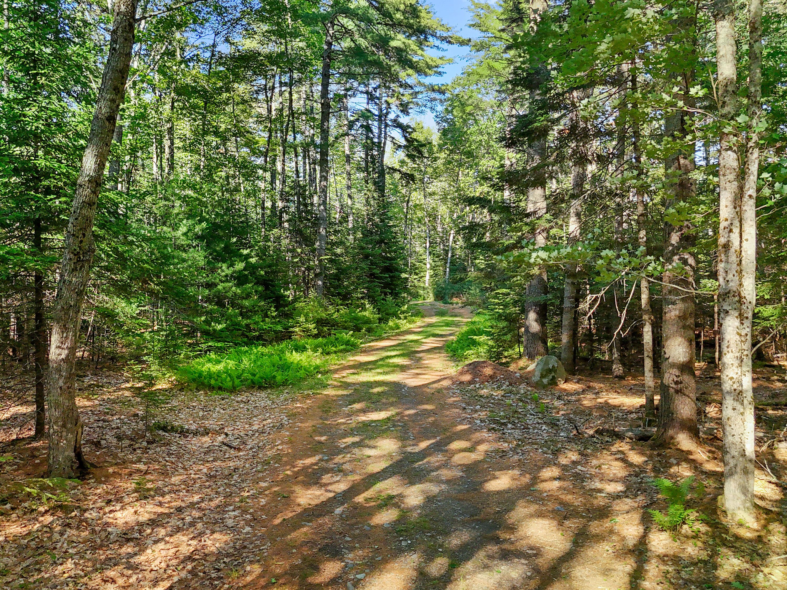 46 Mullins Bog Road Lincolnville, ME 04849 - Photo 19 of 24 DJI_20260624170709_0157_D-1