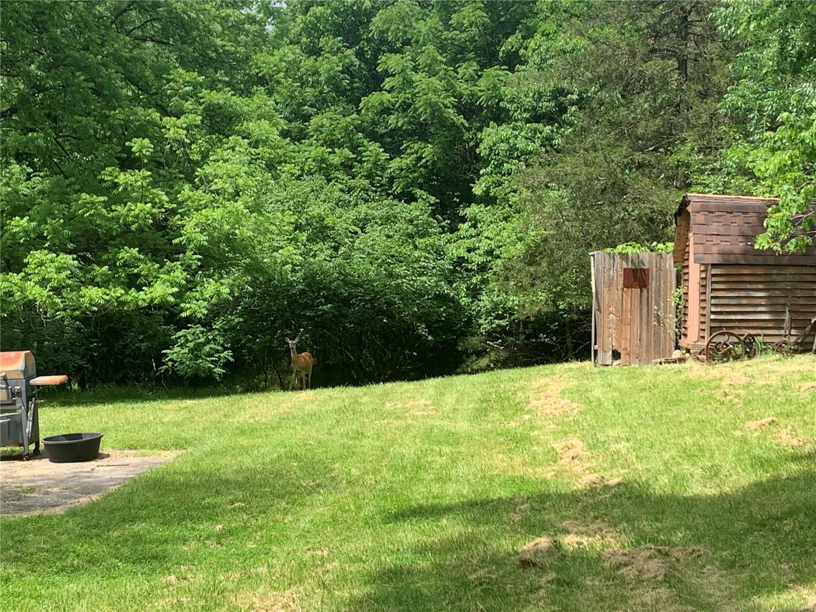 1 Franz Lane Eureka, MO 63025 - Photo 10 of 40