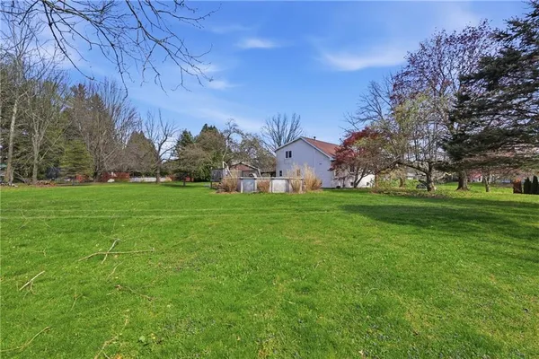 a view of yard with trees