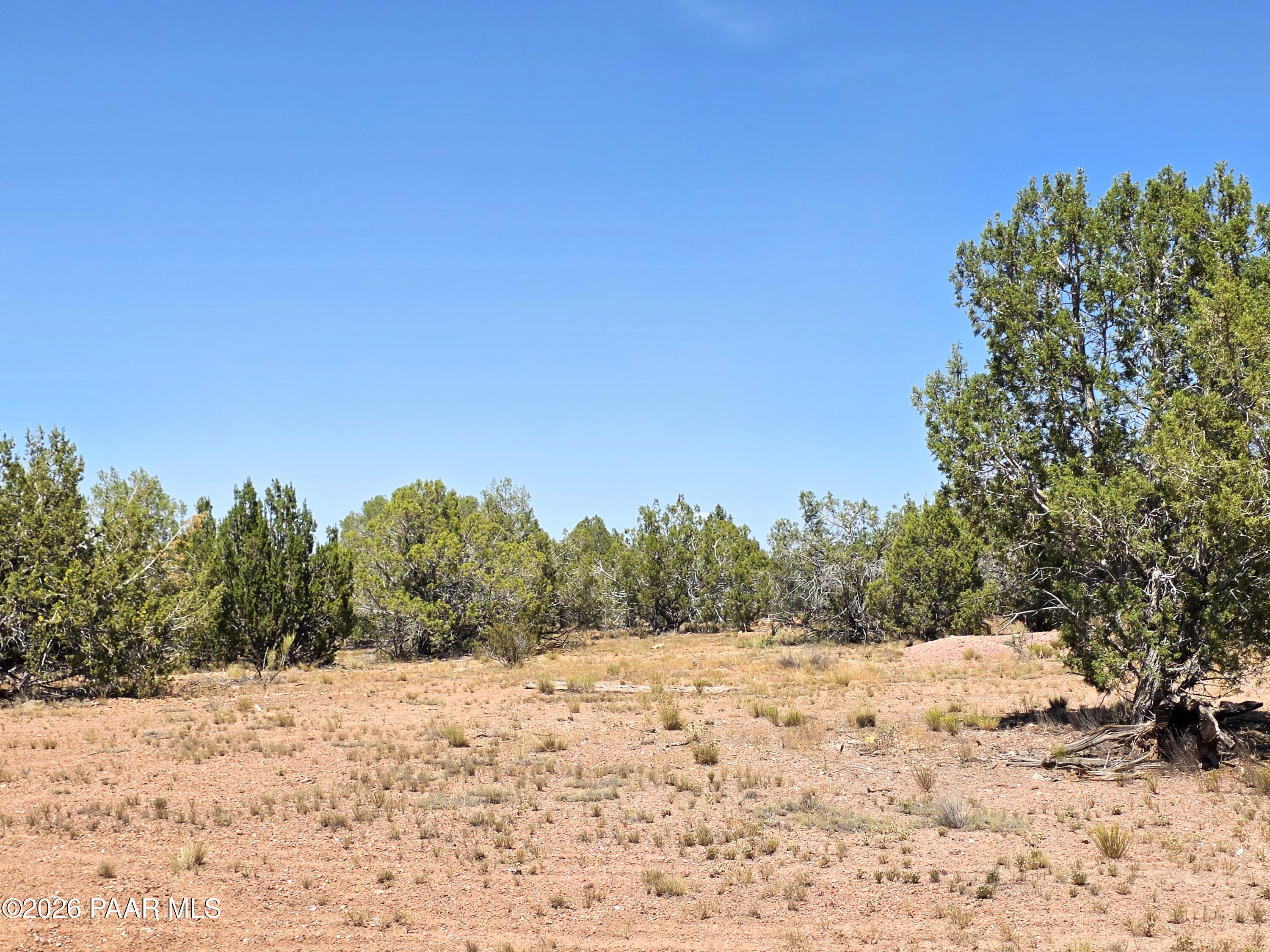 3200 Poppy Road Ash Fork, AZ 86320 - Photo 26 of 34 20260711_141049