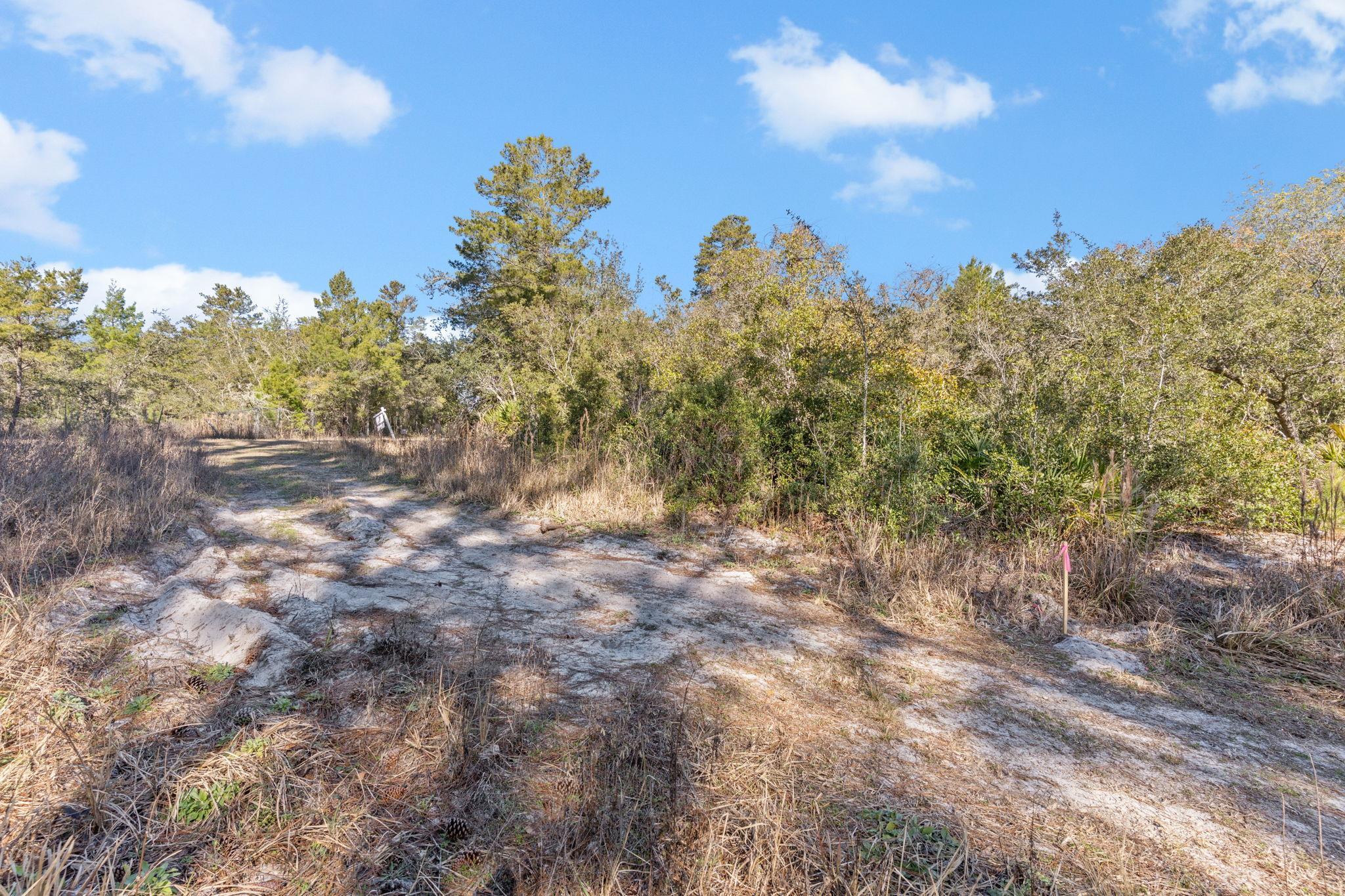 115 Kansas Street Carrabelle, FL 32322 - Photo 3 of 18