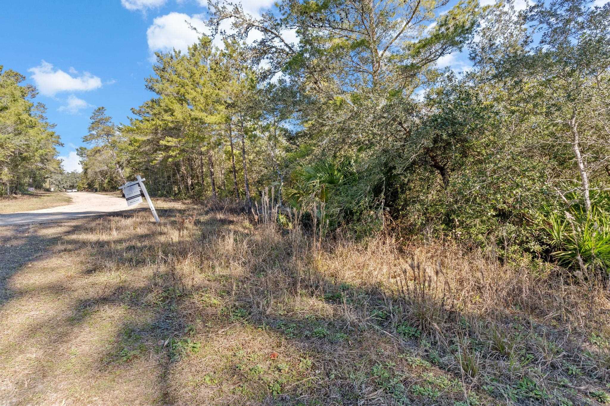 115 Kansas Street Carrabelle, FL 32322 - Photo 9 of 18