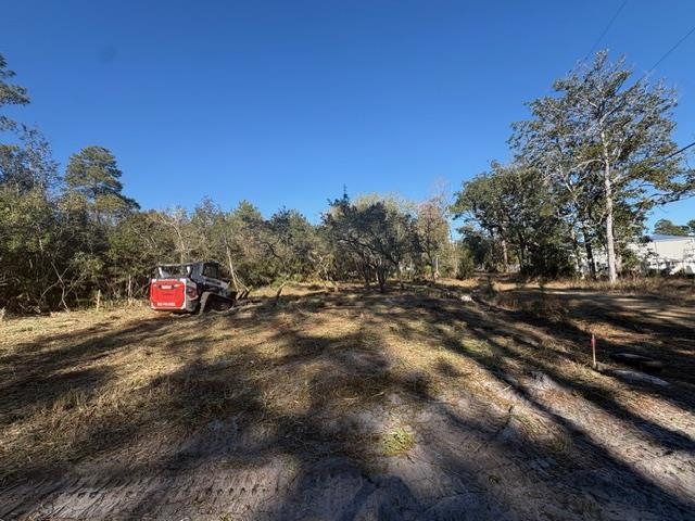 115 Kansas Street Carrabelle, FL 32322 - Photo 10 of 18