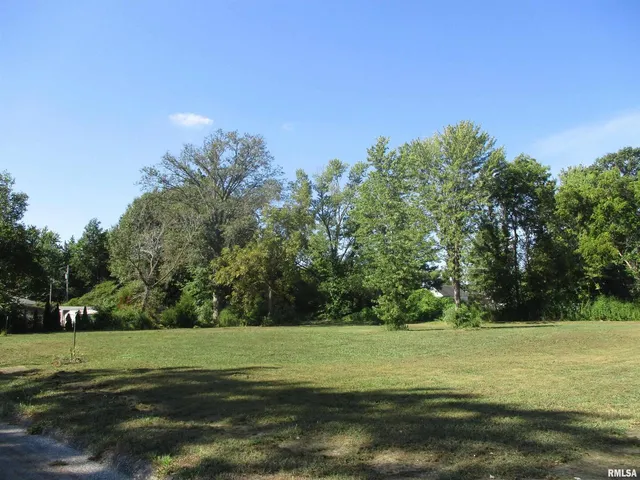 a view of a field with trees