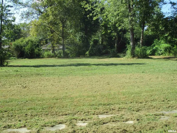 a view of a field with trees