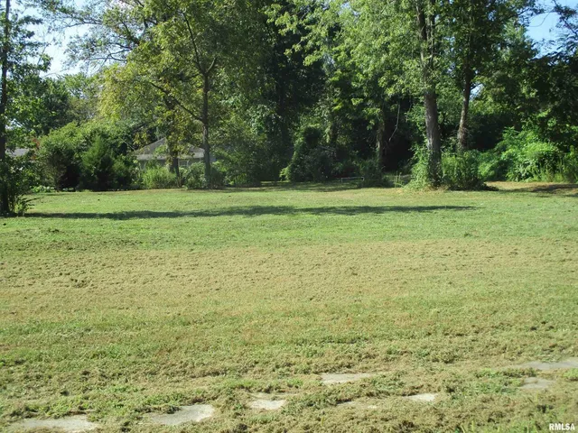 a view of a field with trees