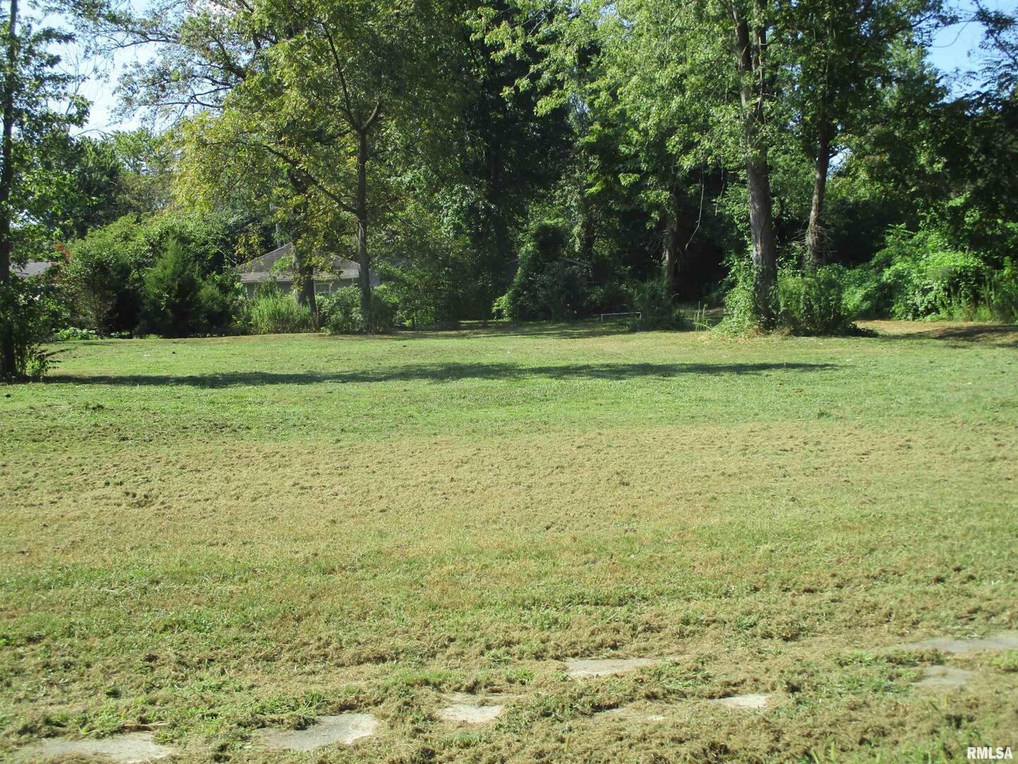 0 North Buchanan Street Benton, IL 62812 - Photo 12 of 23