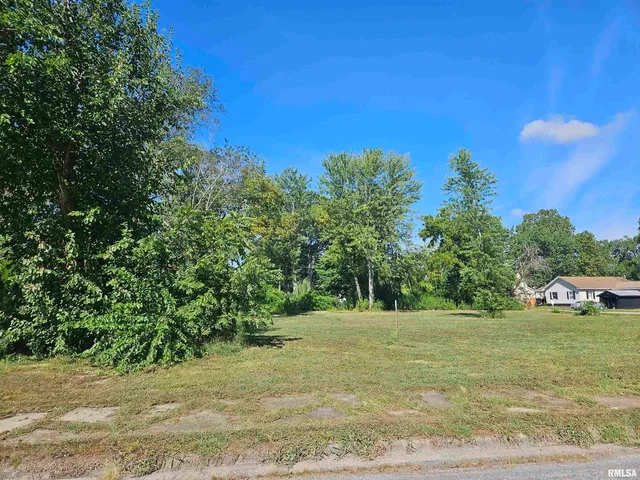 a view of a yard with an trees