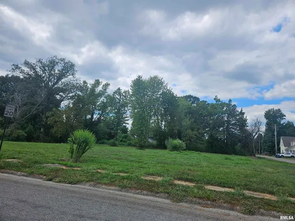 a view of a garden with large trees