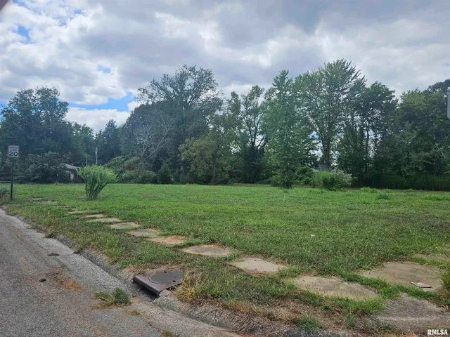a view of a yard with large trees