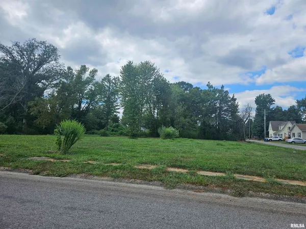 a view of a big yard with plants and large trees