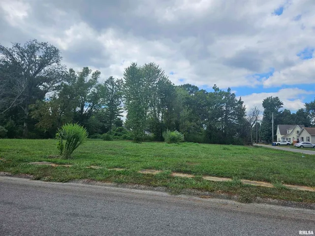 a view of a big yard with plants and large trees