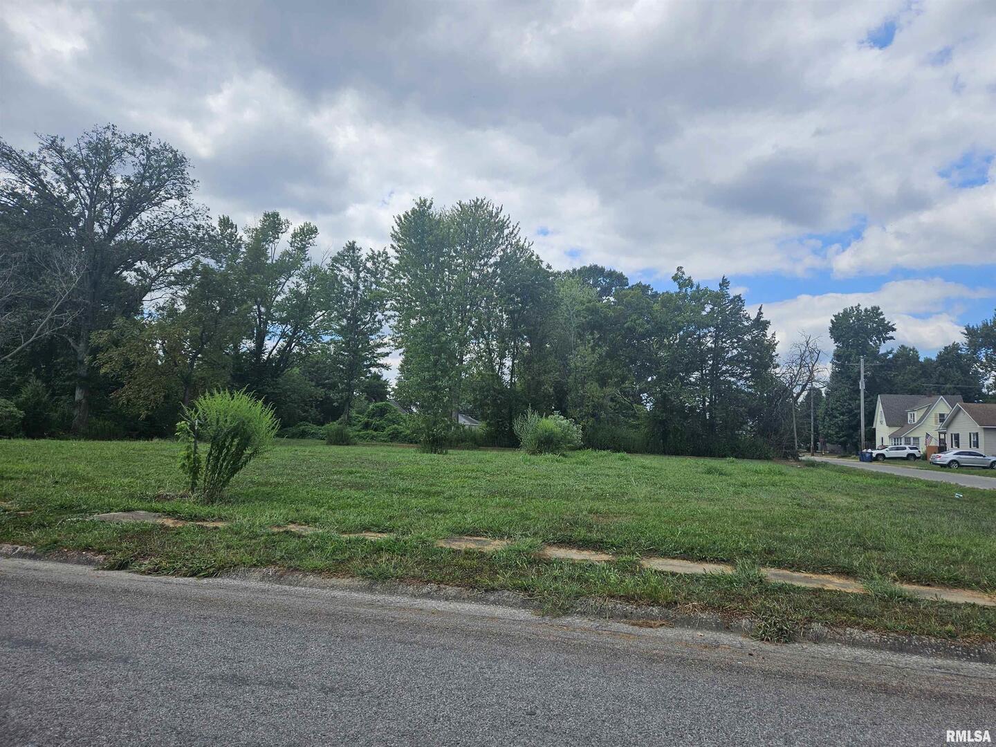 0 North Buchanan Street Benton, IL 62812 - Photo 20 of 23