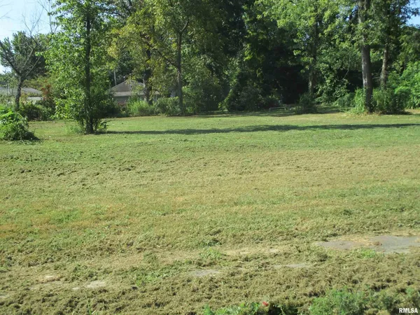 a view of a field with trees in the background
