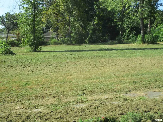 a view of a field with trees in the background