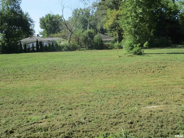 a view of a field with trees in the background