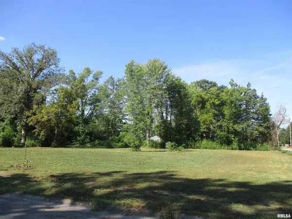 a view of a field with an trees