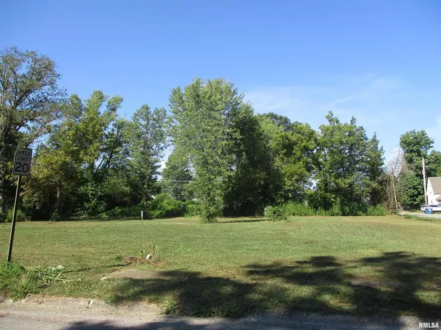 a view of a grassy field with trees