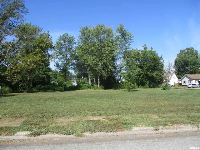 a view of a field with trees in background