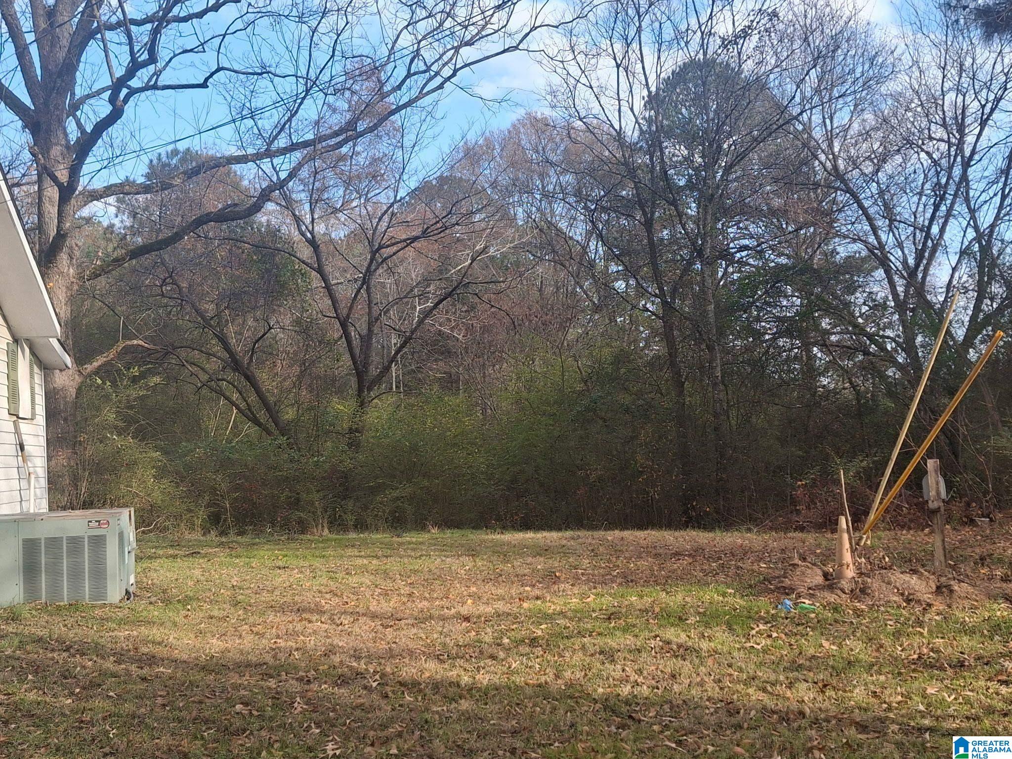 8475 County Line Road Dora, AL 35062 - Photo 4 of 7 Gallery Image 4
