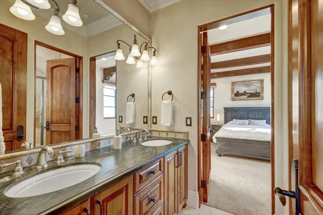 a view of a backyard with plants