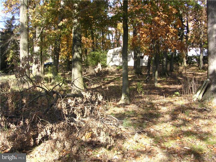 1007 North Ridge Road Perkasie, PA 18944 - Photo 3 of 5