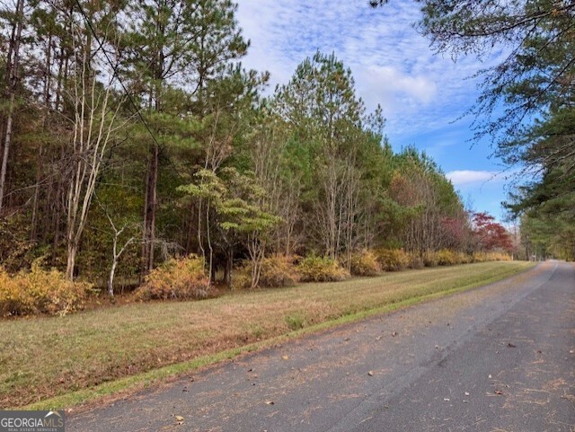 a view of dirt yard with a large tree