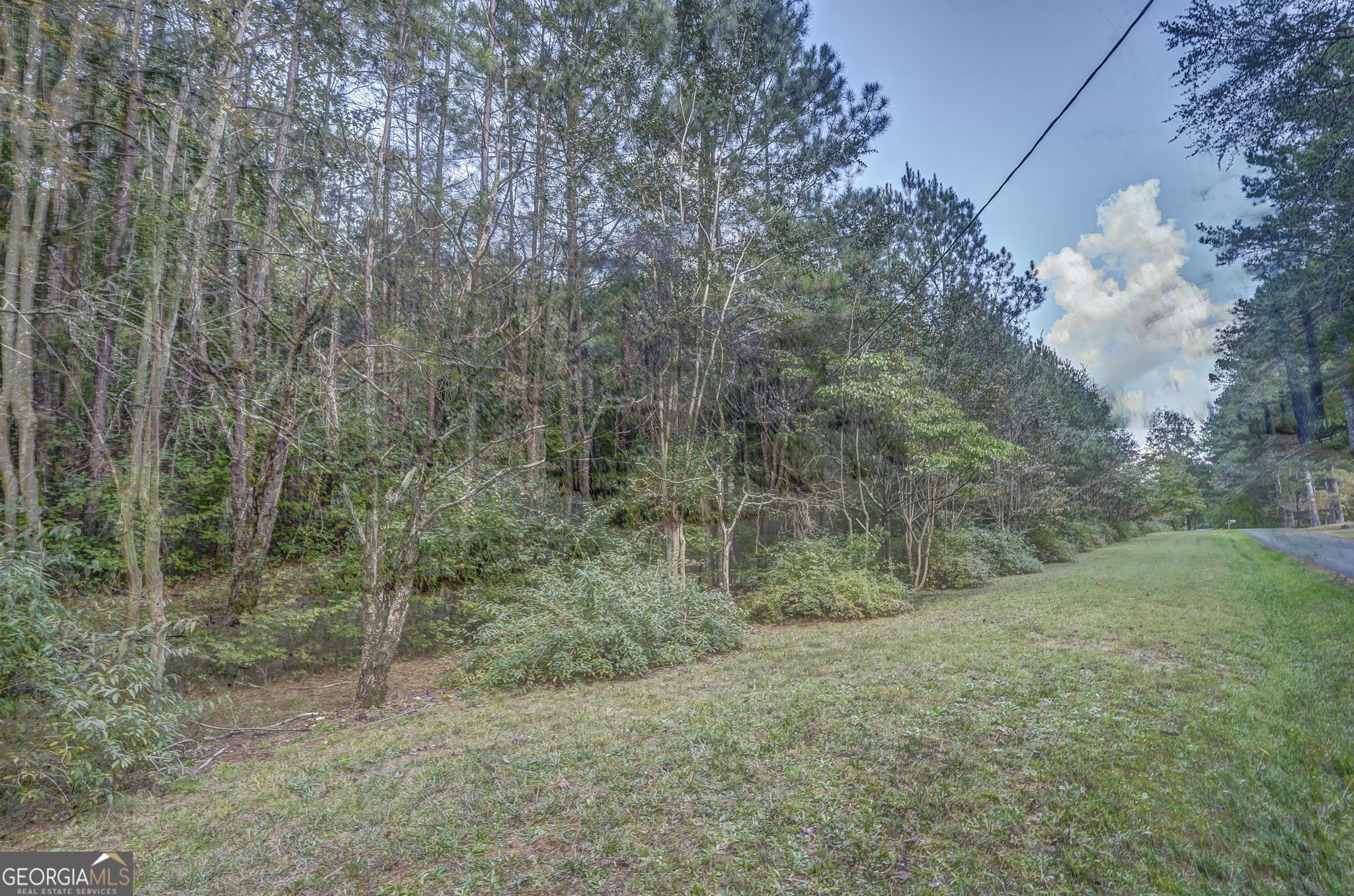 0 Beavers Road Summerville, GA 30747 - Photo 14 of 14 a view of a forest with trees in the background
