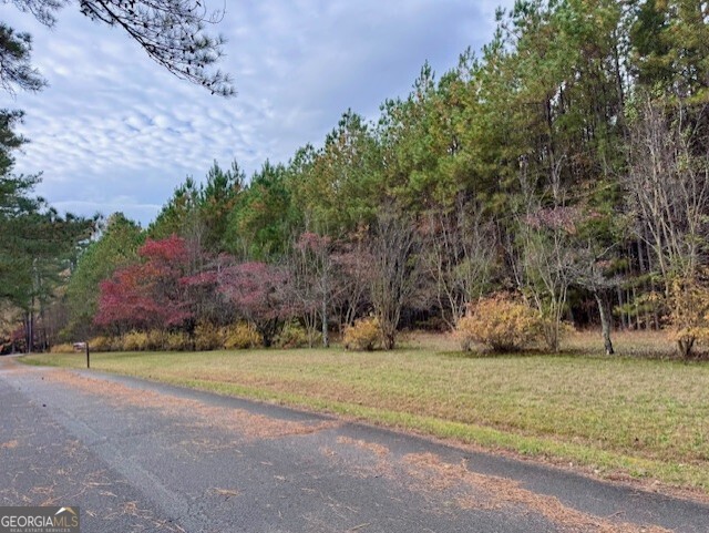 0 Beavers Road Summerville, GA 30747 - Photo 2 of 14 a view of a field with trees