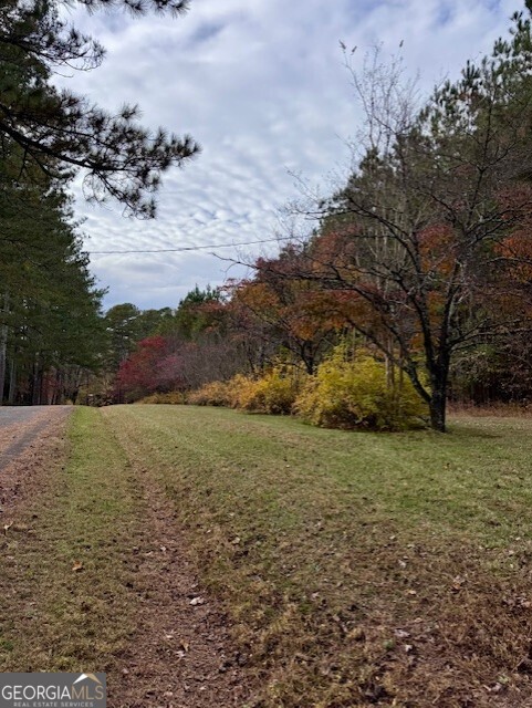 0 Beavers Road Summerville, GA 30747 - Photo 3 of 14 a view of lake view and mountain