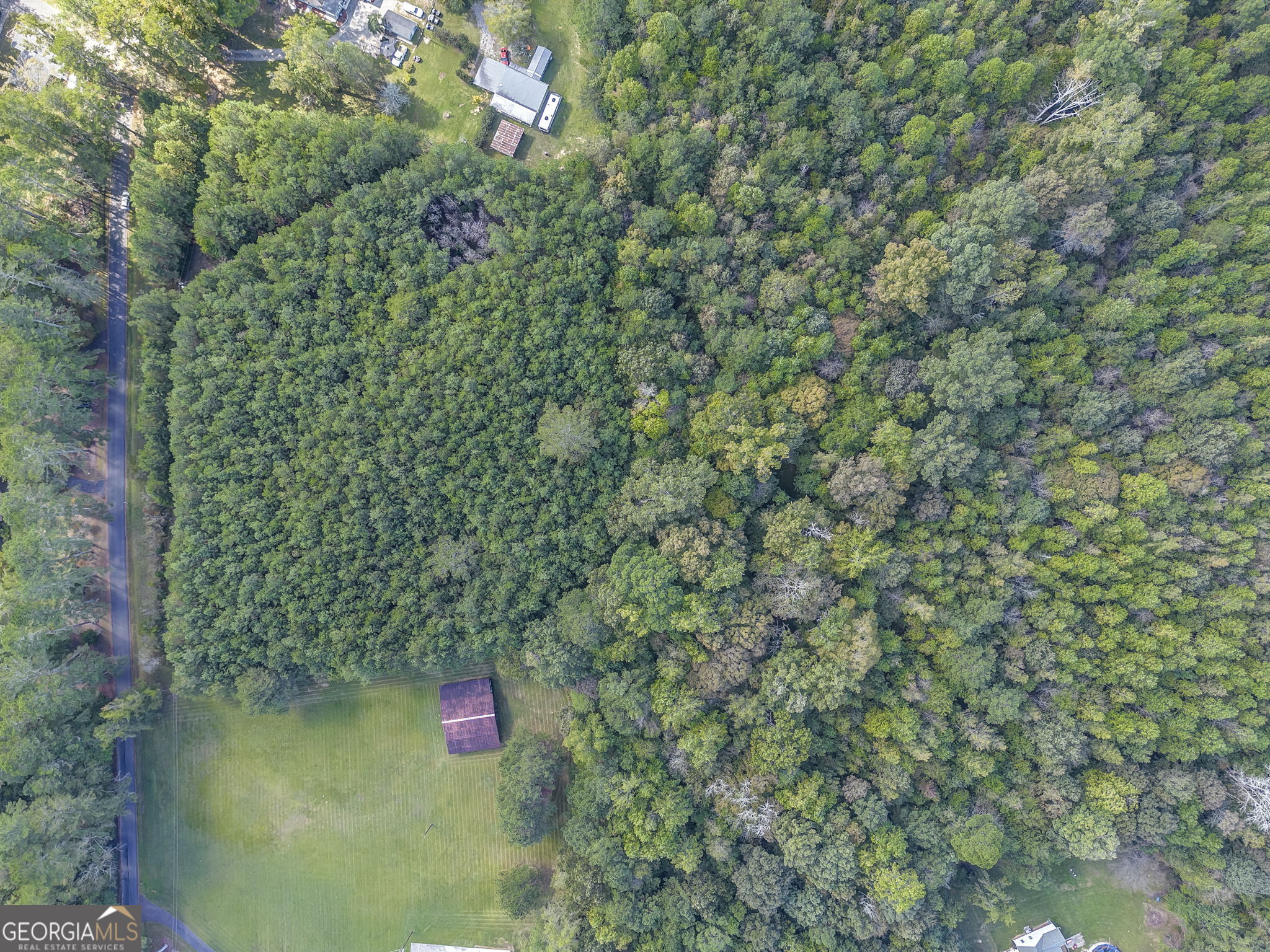 0 Beavers Road Summerville, GA 30747 - Photo 4 of 14 a view of a forest with a lake