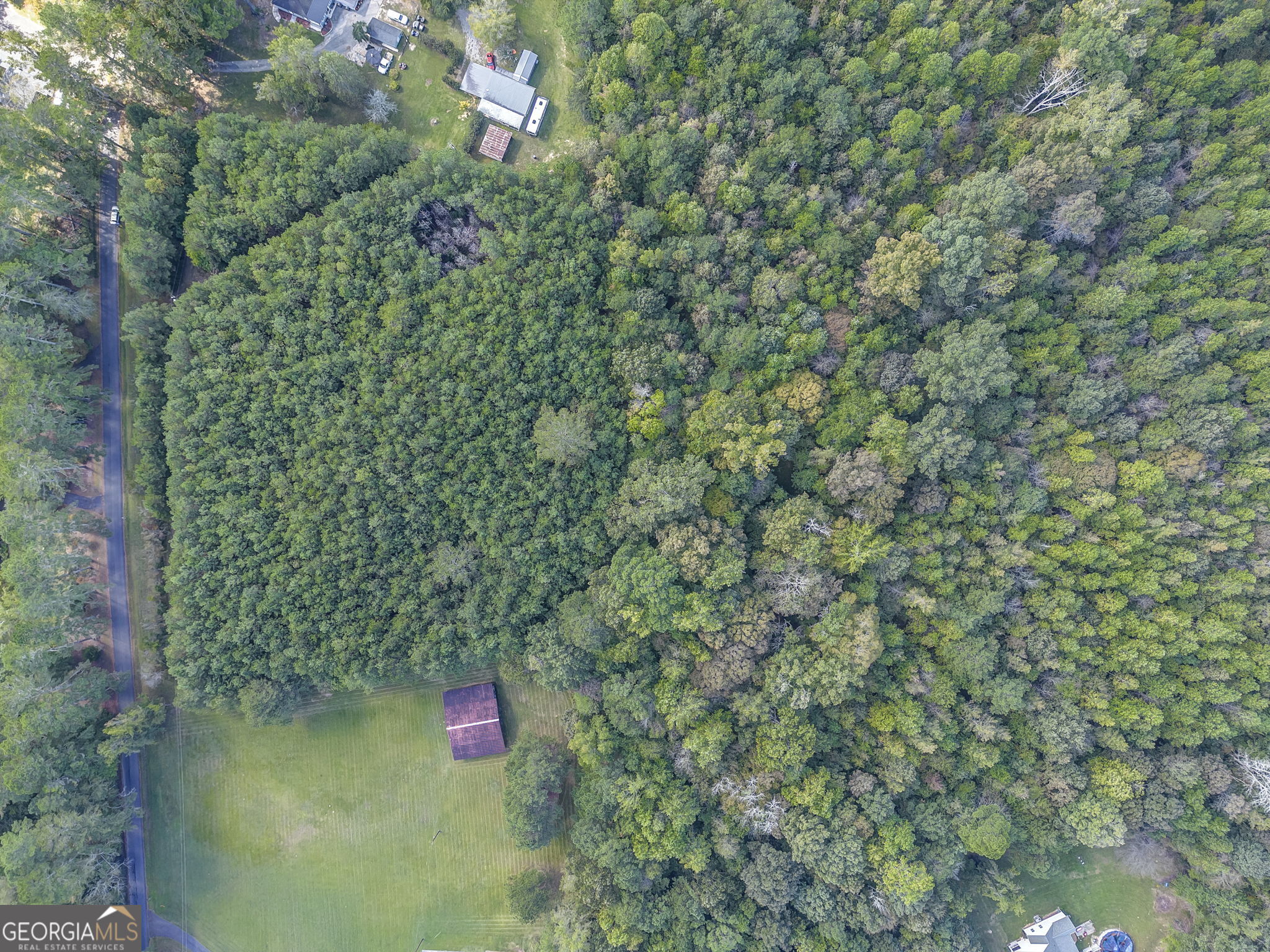 0 Beavers Road Summerville, GA 30747 - Photo 5 of 14 a view of a forest with a lake