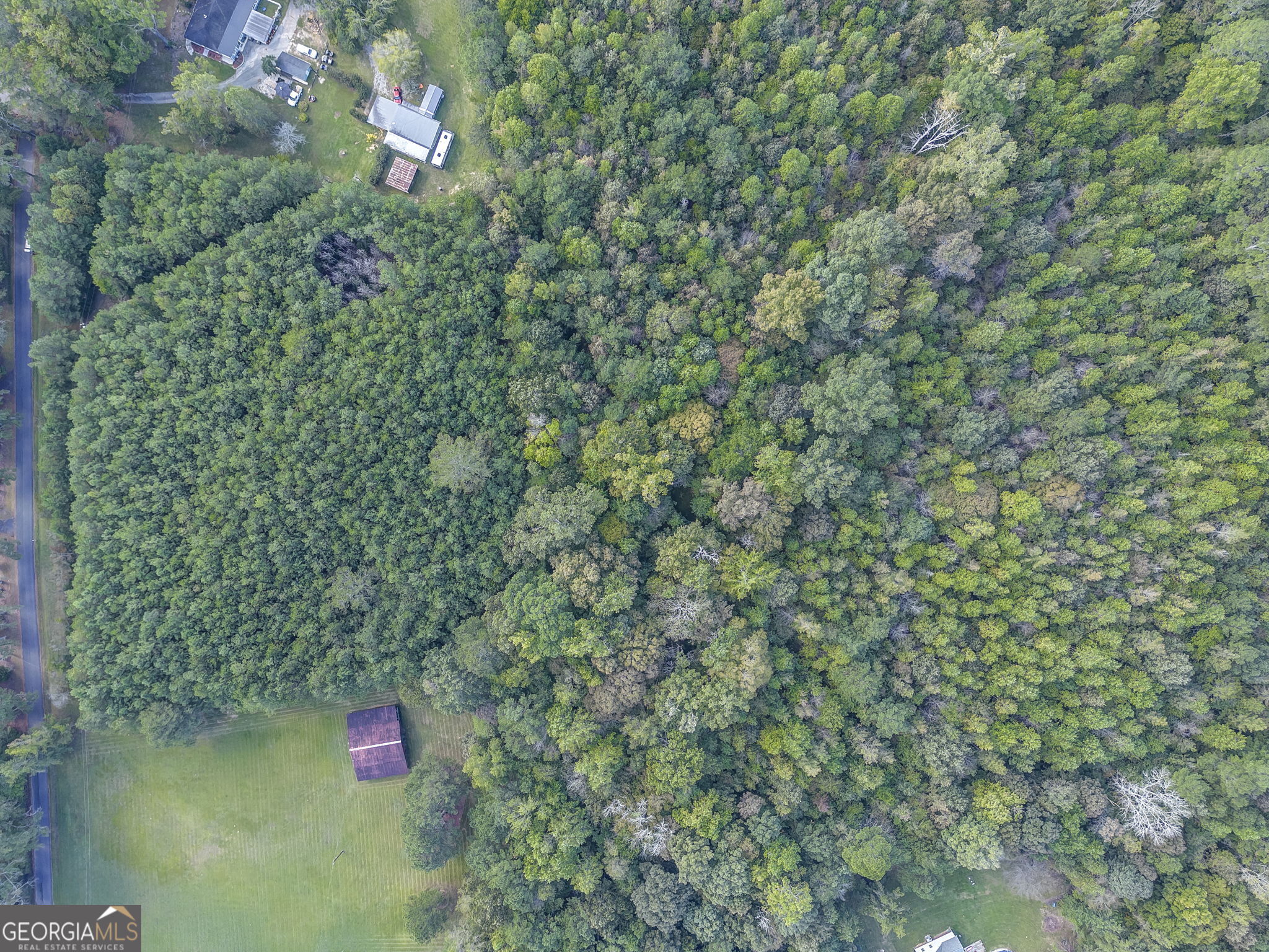 0 Beavers Road Summerville, GA 30747 - Photo 7 of 14 a view of a tree with red and white house