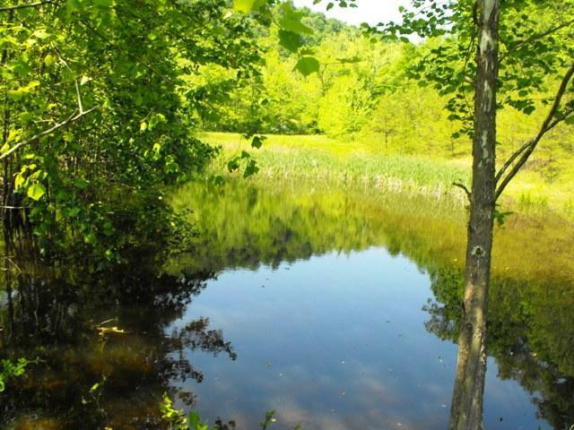 1080 Punkin Hollow Road Stanton, KY 40380 - Photo 12 of 39 Photo 12