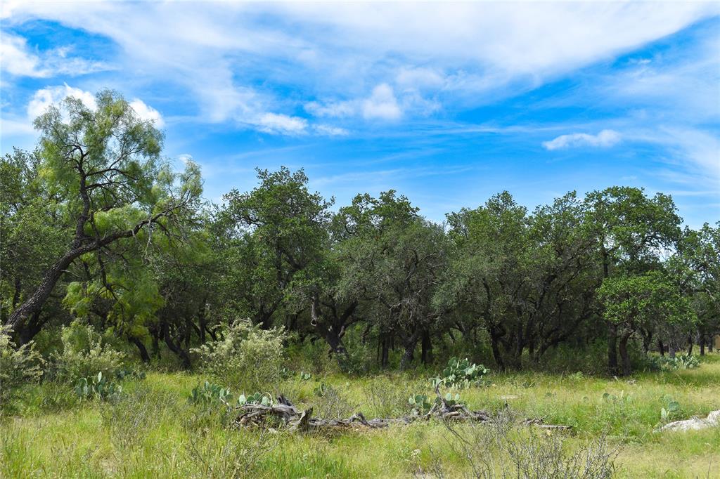 1300 Homestead Drive Rochelle, TX 76872 - Photo 24 of 37