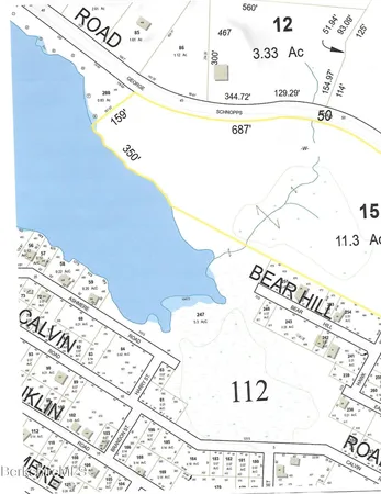 a park with large trees