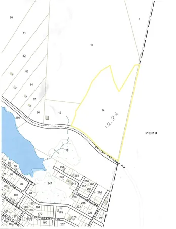 an aerial view of forest