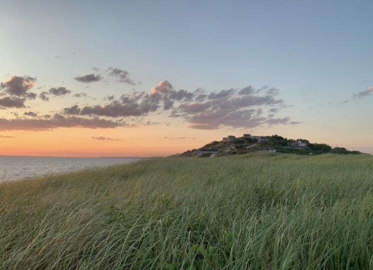 112 Castle Road Truro, MA 02666 - Photo 37 of 43 a view of a field with an ocean