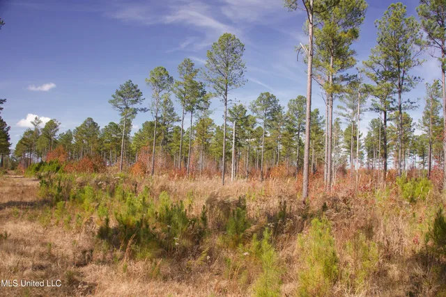 $200,000 | 115 Off Creek, Carrollton, MS 38917