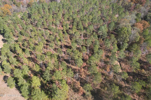 $200,000 | 115 Off Creek, Carrollton, MS 38917