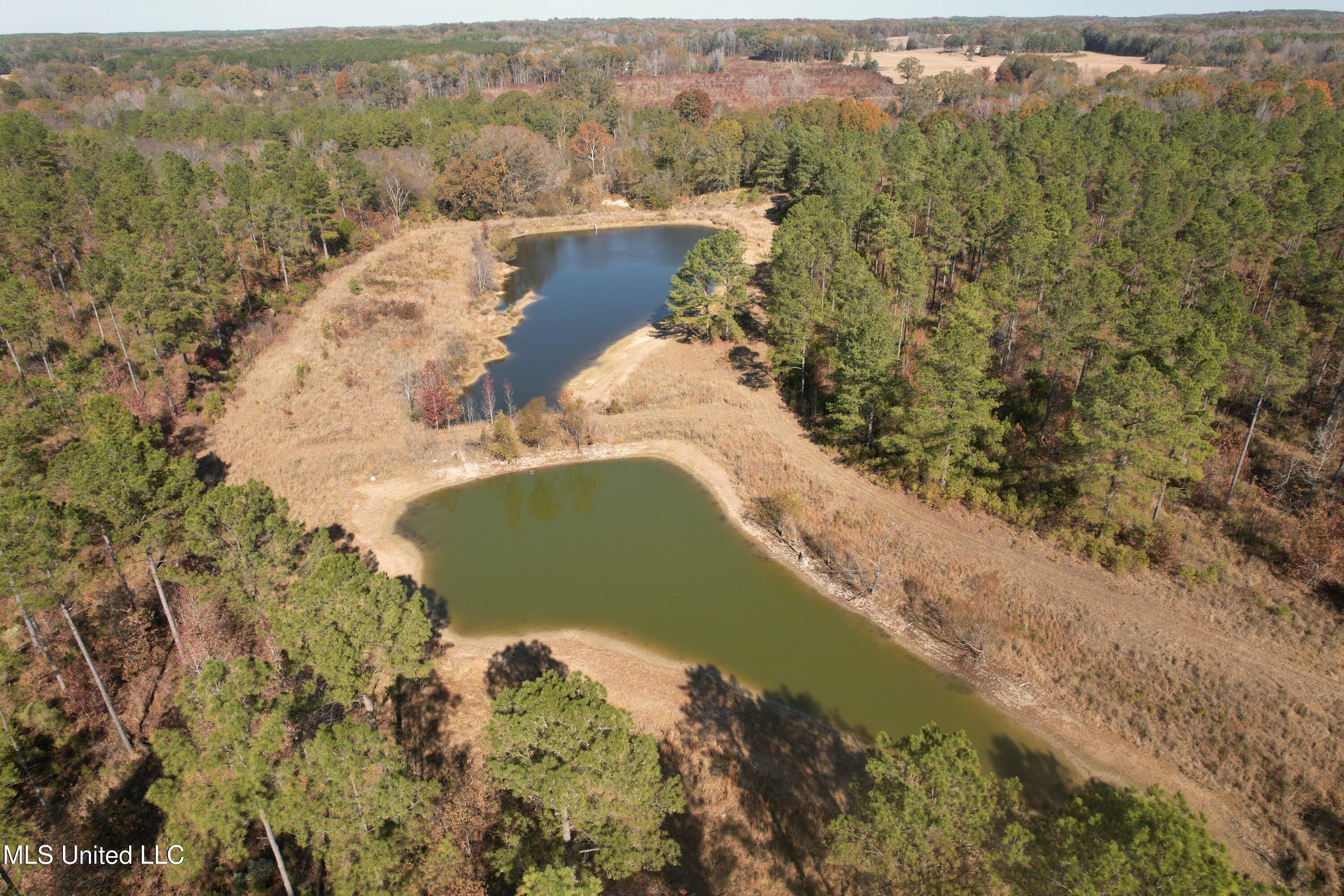 115 Off Creek Carrollton, MS 38917 - Photo 13 of 20 DJI_0136