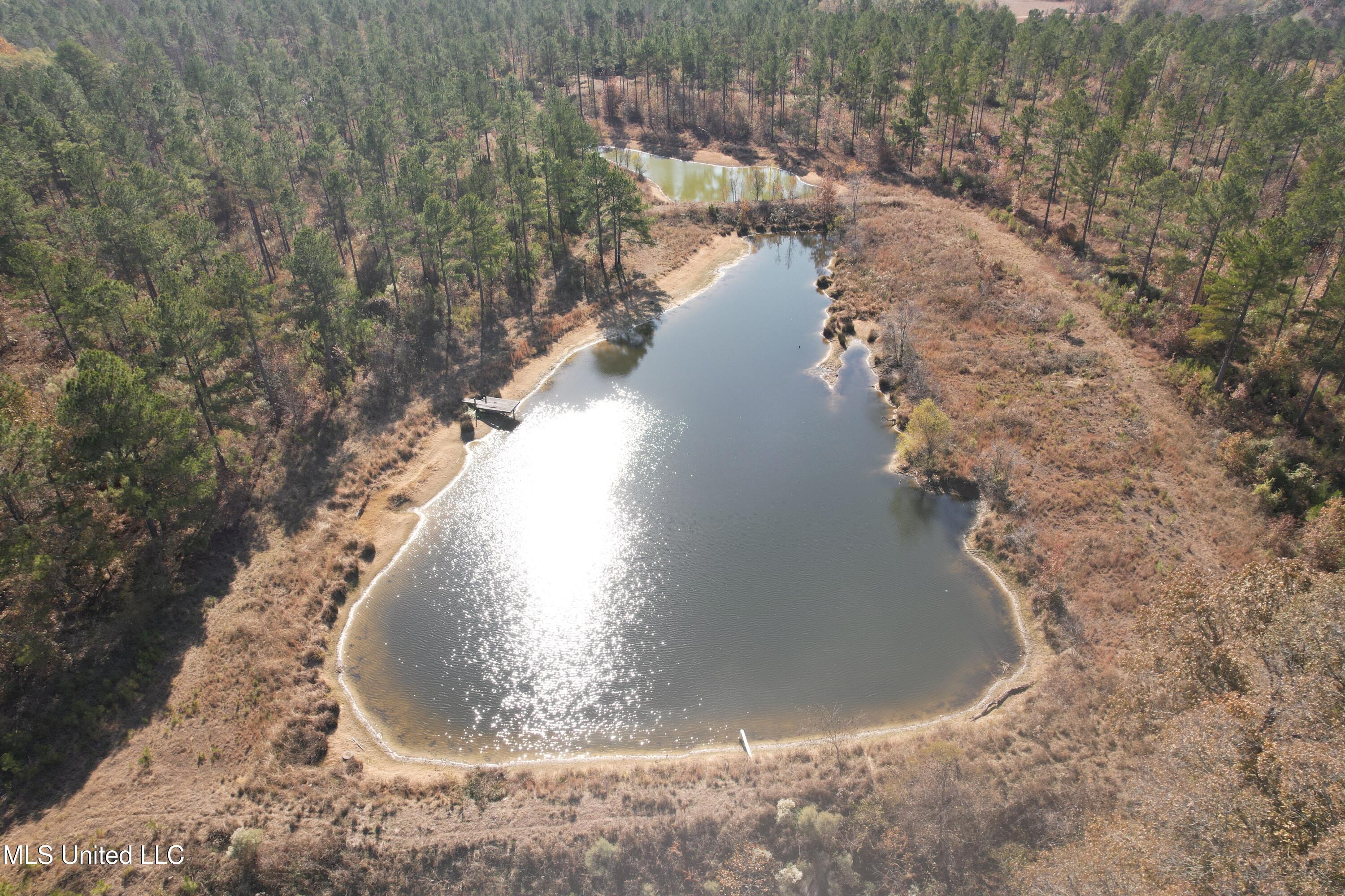 115 Off Creek Carrollton, MS 38917 - Photo 14 of 20 DJI_0135