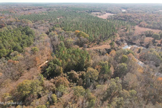 $200,000 | 115 Off Creek, Carrollton, MS 38917