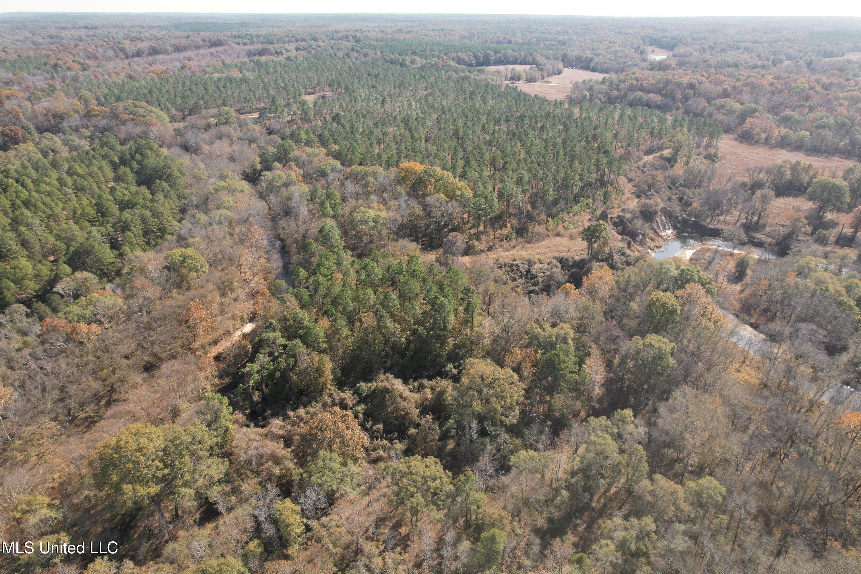 115 Off Creek Carrollton, MS 38917 - Photo 15 of 20 DJI_0151