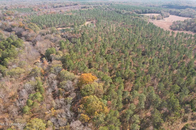 $200,000 | 115 Off Creek, Carrollton, MS 38917