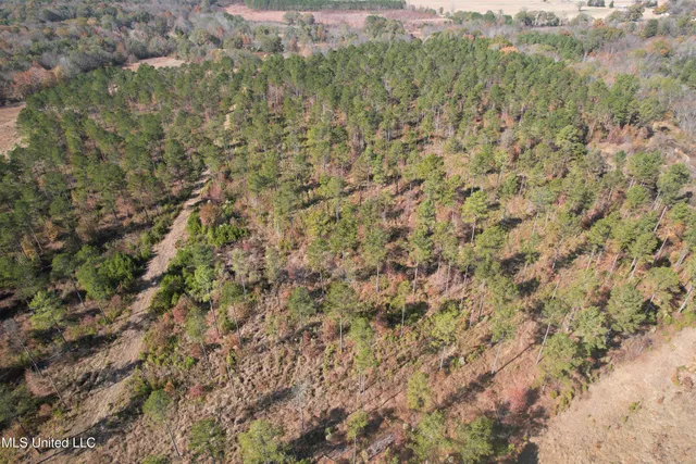 $200,000 | 115 Off Creek, Carrollton, MS 38917